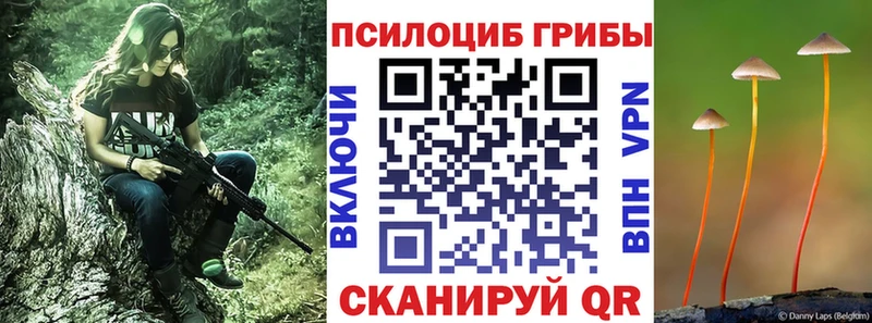 Купить где  Обнинск  Галлюциногенные грибы Cubensis 