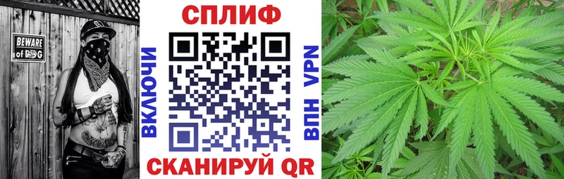 Шишки марихуана семена  Купить закладки  Обнинск 